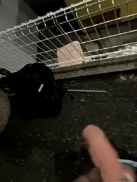 rinne0110 webcam model stream image