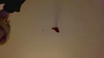 Pechefraise30 webcam model stream image