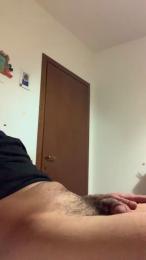 Horse866 webcam model stream image