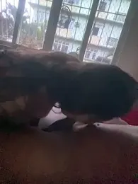 reidosuco webcam model stream image