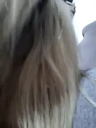 Dulceluz_420 webcam model stream image