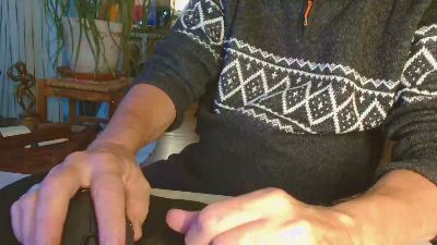 bluesky500 webcam model stream image