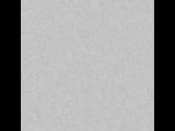 2photogs_raw webcam model stream image