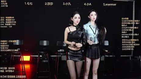 SK010 webcam model stream image