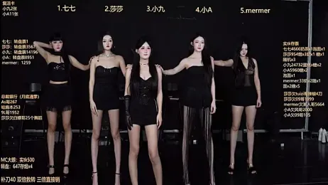 SK010 webcam model stream image