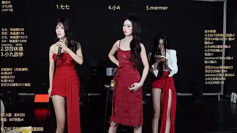 SK010 webcam model stream image