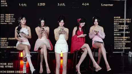 SK010 webcam model stream image