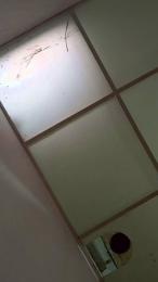 danthepiero webcam model stream image