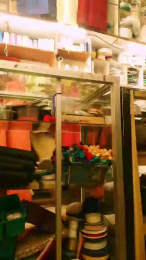 Eriking1989 webcam model stream image