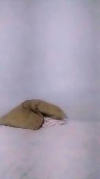 Guillesex777 webcam model stream image