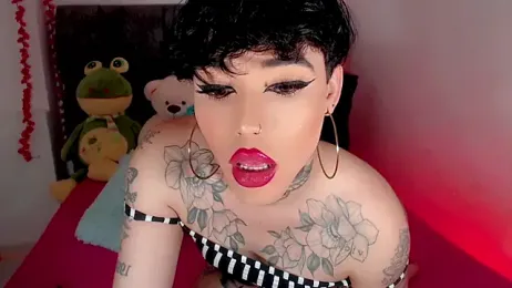 little_star_porn webcam model stream image