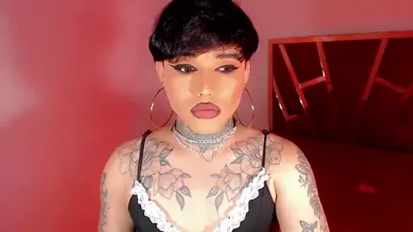 little_star_porn webcam model stream image