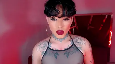 little_star_porn webcam model stream image