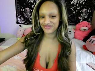 raventhesag webcam model stream image