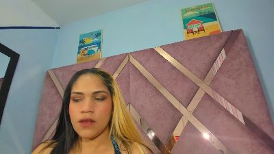 Faehlis webcam model stream image