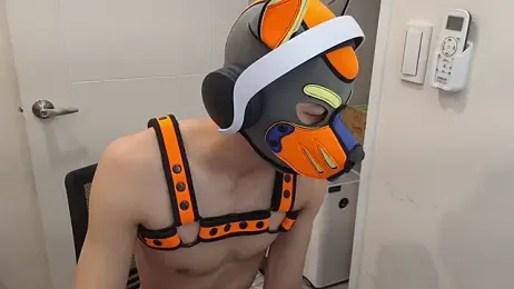 tibetanwolf_sex webcam model stream image