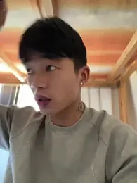 NV-1 webcam model stream image