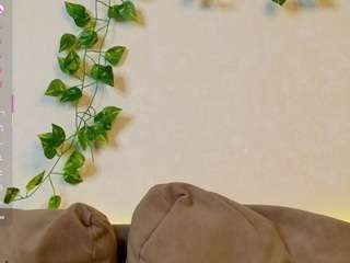 roxy-sunny webcam model stream image