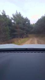 Gerontofilia webcam model stream image