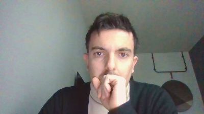 Flygvrd webcam model stream image