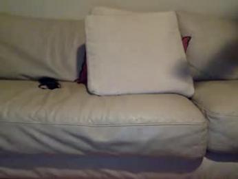 bad_boy_bitchhh webcam model stream image