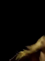 SheIsSomething webcam model stream image