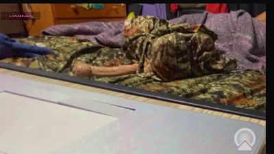 ashlygold webcam model stream image