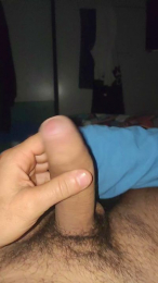 Vittosto webcam model stream image