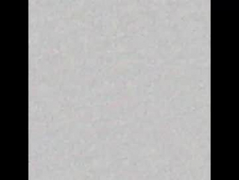 _assh webcam model stream image