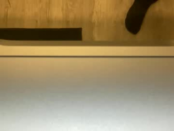 yungbull06 webcam model stream image