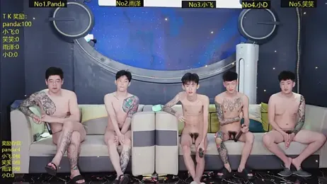 SX-009 webcam model stream image