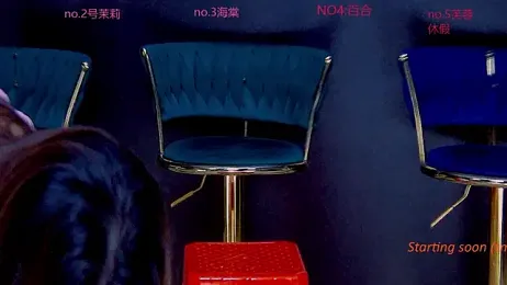 YN-003 webcam model stream image