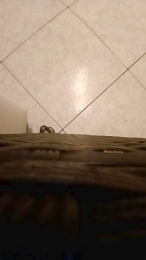 alessandravite1 webcam model stream image