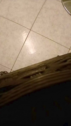 alessandravite1 webcam model stream image