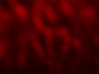 kloelamaravilla18 webcam model stream image