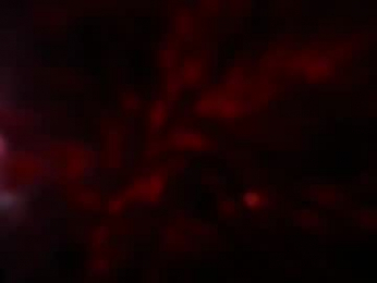 kloelamaravilla18 webcam model stream image