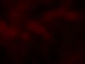 kloelamaravilla18 webcam model stream image