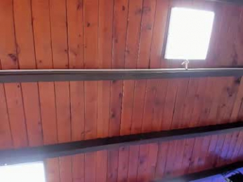 ari_monet webcam model stream image