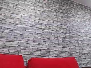 Tudfwlch Y webcam model stream image