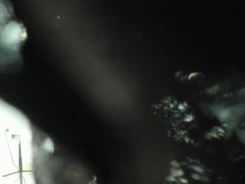 andreaflamel webcam model stream image