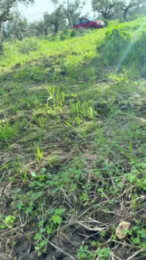 9475d webcam model stream image