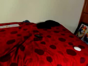 jordan_mm420 webcam model stream image