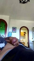 pollon293 webcam model stream image