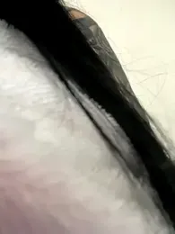 eva_sexx69 webcam model stream image