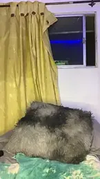 CaroBeach webcam model stream image