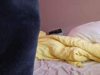 13bolpen webcam camsoda model stream image