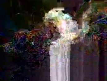 whitvolcom webcam model stream image