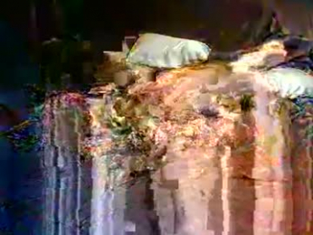 whitvolcom webcam model stream image