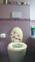 italian_bull1 webcam model stream image