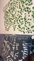 bravo_maestro webcam model stream image